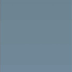 Meet your Posher, Destiny